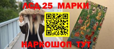 МДПВ Камень-на-Оби