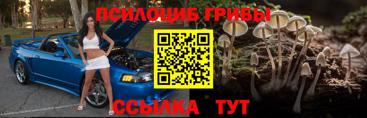 Красноуфимск  Псилоцибиновые грибы мухоморы  Вход с VPN  Галлюциногенные грибы ЛСД 