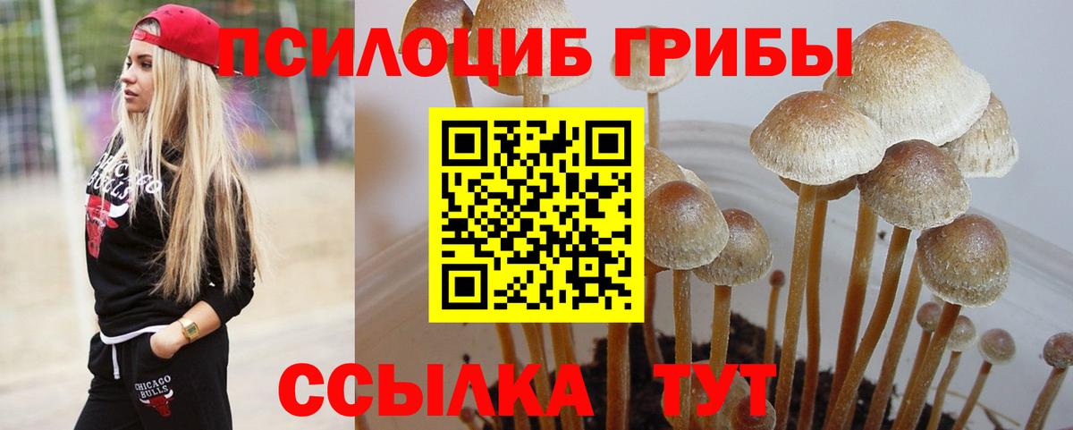 Псилоцибиновые грибы мухоморы Красноуфимск